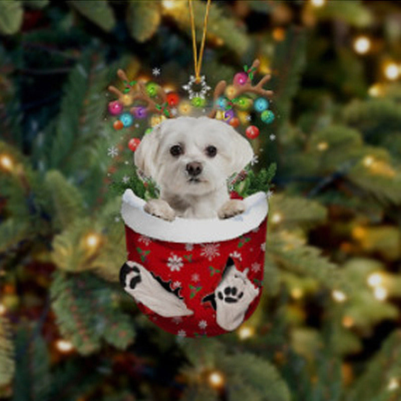 Niedliche Weihnachtssocken-Hundeverzierung