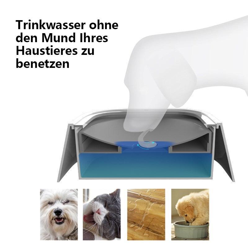 Keine verschüttete Haustierwasserschale